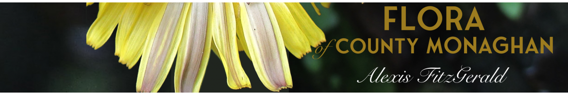 FLORA OF CO MONAGHAN